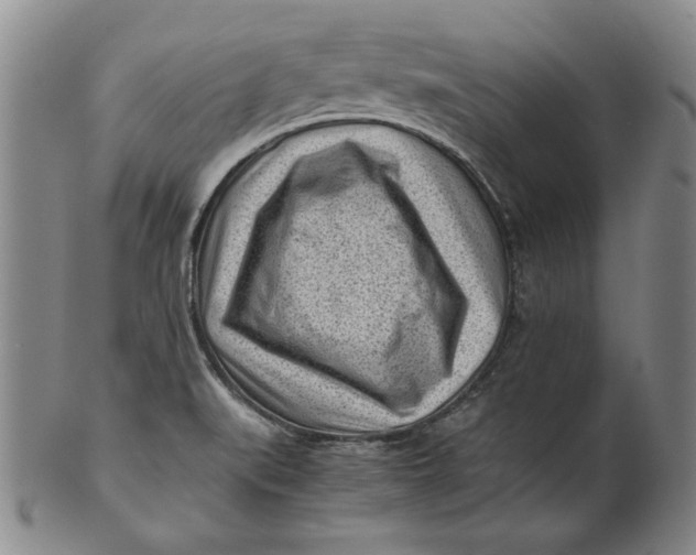 X0000101961519200808081516