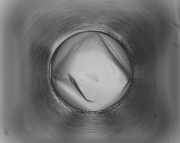 X0000101961520200808081516