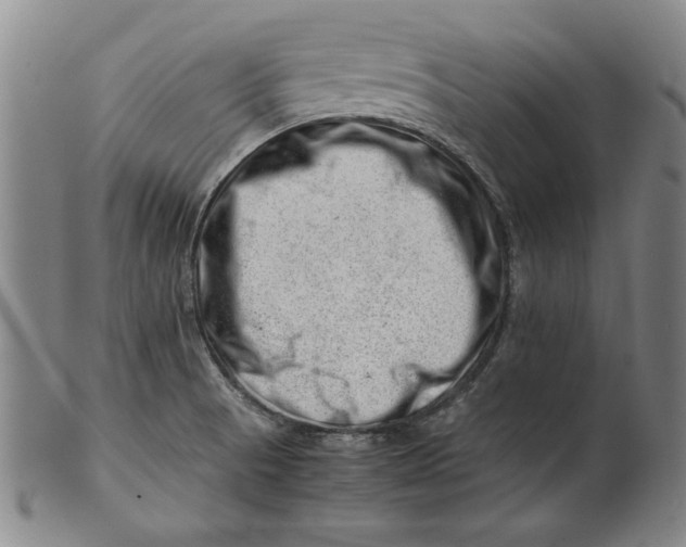 X0000101961521200808081516