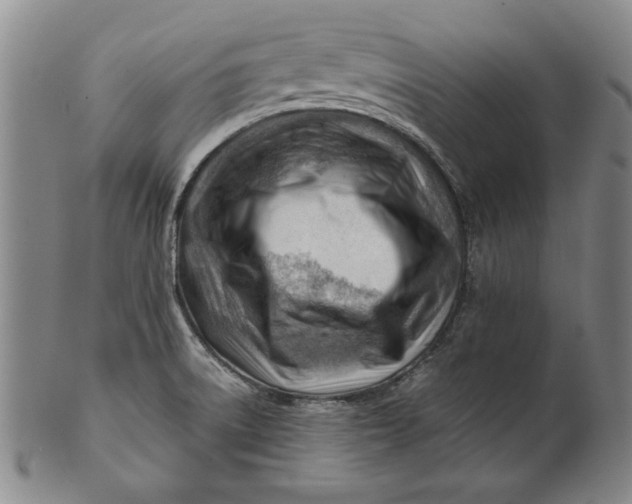 X0000101961522200808081516