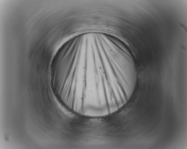 X0000101961523200808081516