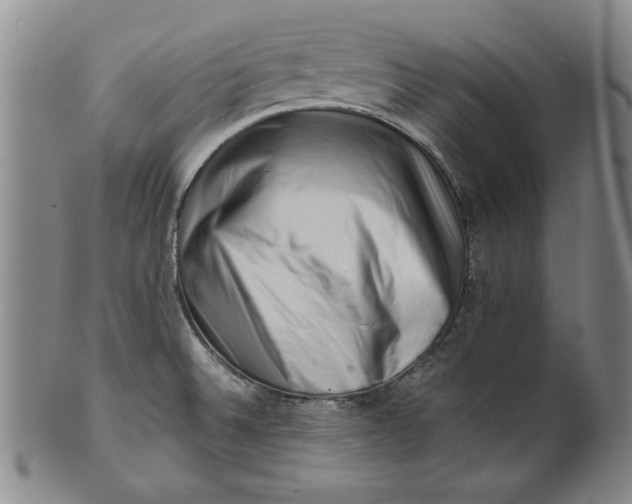 X0000101961524200808081516