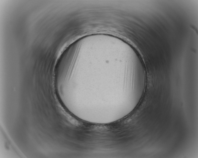 X0000101961525200808081516