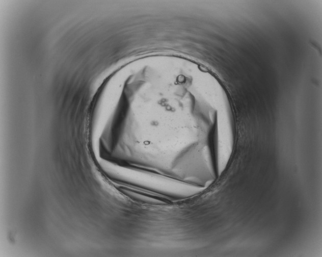 X0000101961526200808081516