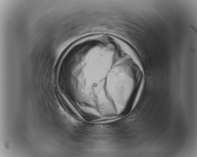 X0000101961527200808081516