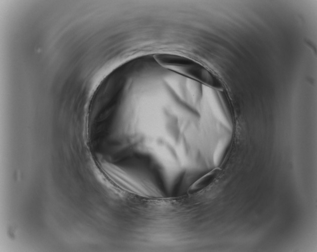 X0000101961528200808081516