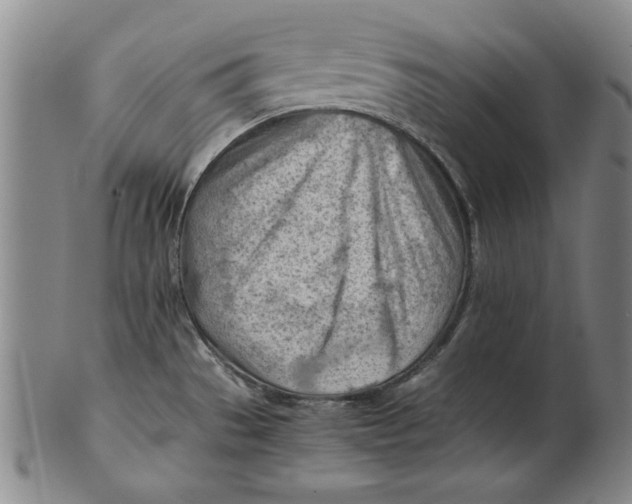 X0000101961529200808081516