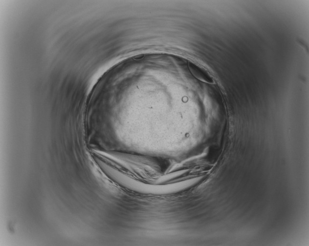 X0000101961530200808081516