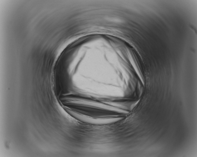 X0000101961531200808081517