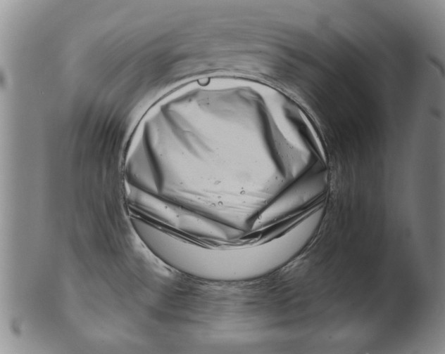 X0000101961532200808081517