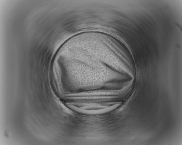 X0000101961533200808081517