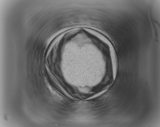 X0000101961534200808081517