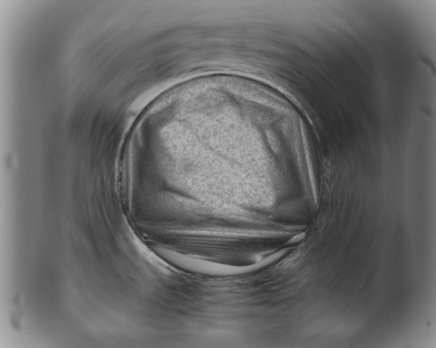 X0000101961535200808081517