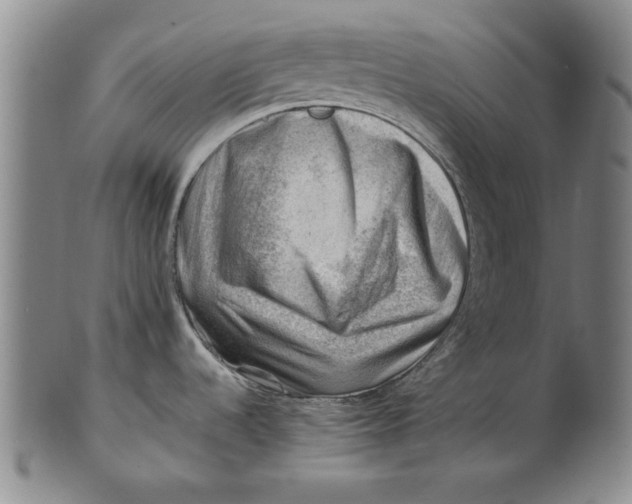 X0000101961536200808081517