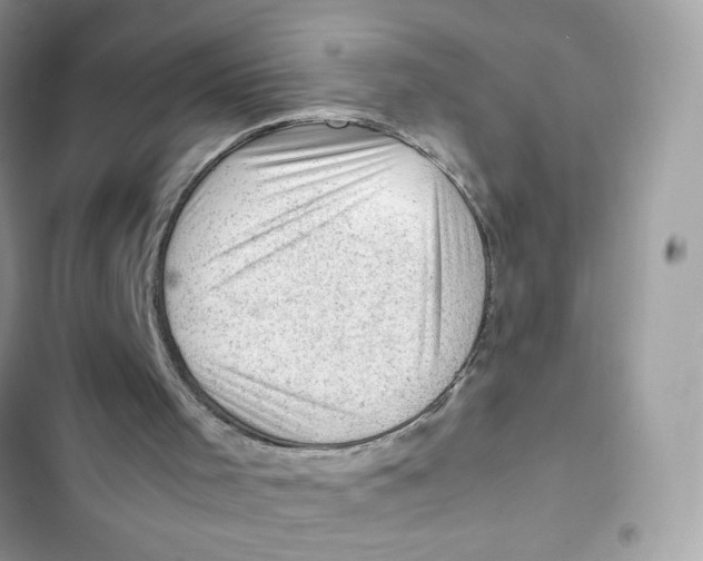 X0000101960001200808151325