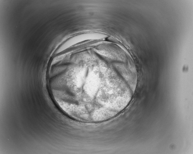 X0000101960002200808151325
