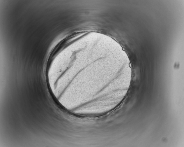 X0000101960004200808151325