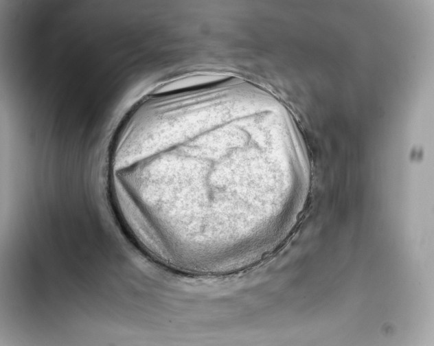 X0000101960005200808151325