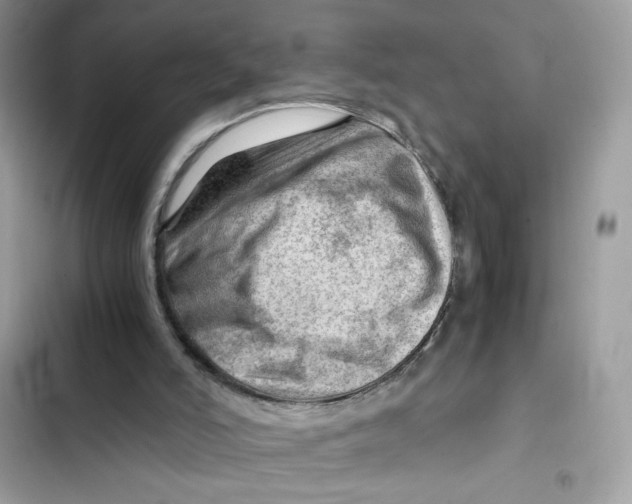 X0000101960006200808151325