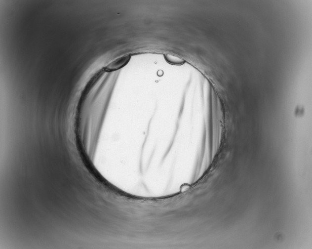 X0000101960007200808151325