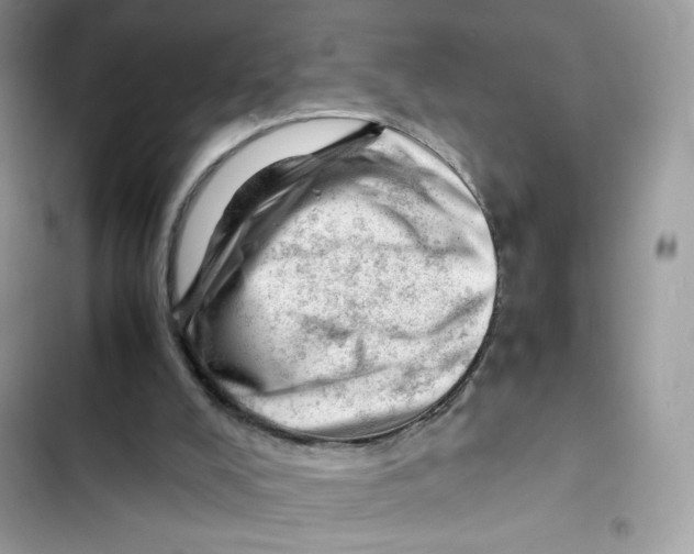 X0000101960008200808151325