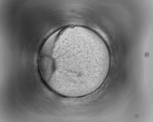 X0000101960009200808151325
