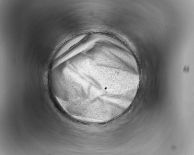 X0000101960010200808151325