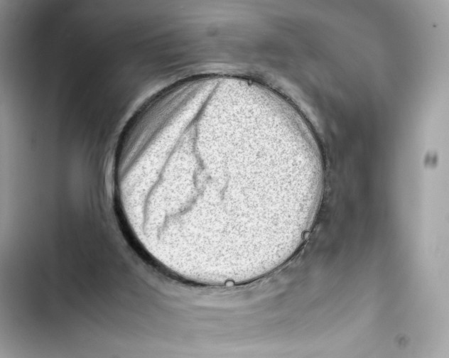 X0000101960011200808151325