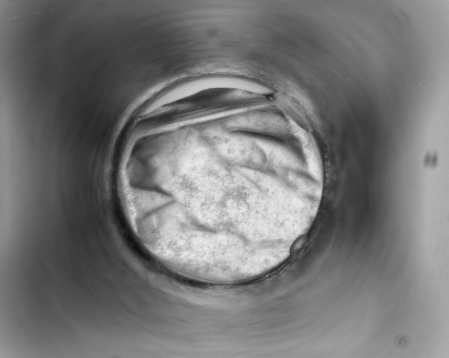 X0000101960012200808151325