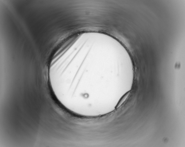 X0000101960013200808151325
