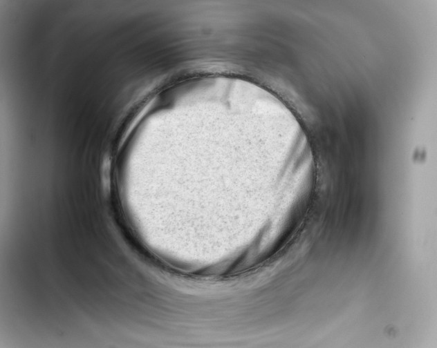 X0000101960014200808151325
