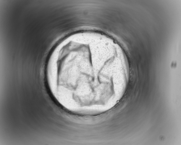 X0000101960015200808151325