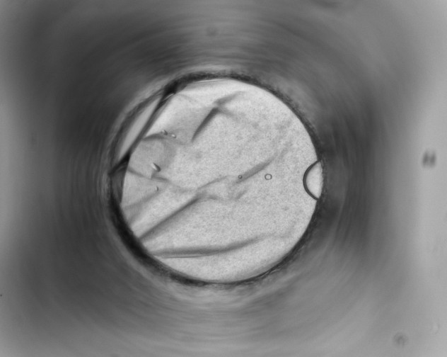 X0000101960016200808151325