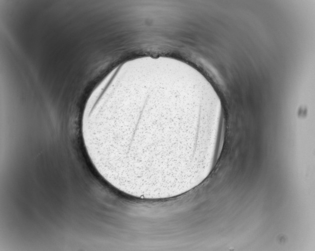 X0000101960017200808151325