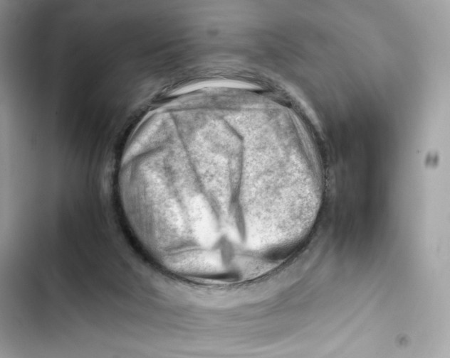 X0000101960018200808151325