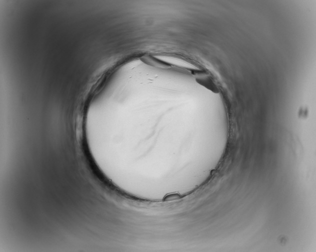 X0000101960019200808151325