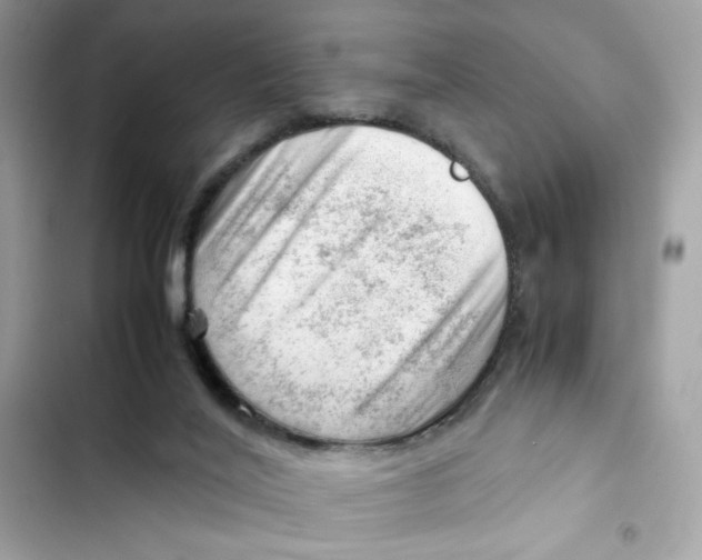X0000101960020200808151325