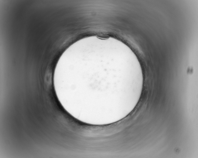 X0000101960021200808151325