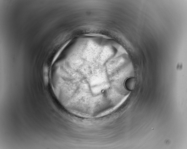 X0000101960022200808151325