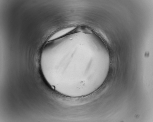 X0000101960023200808151325