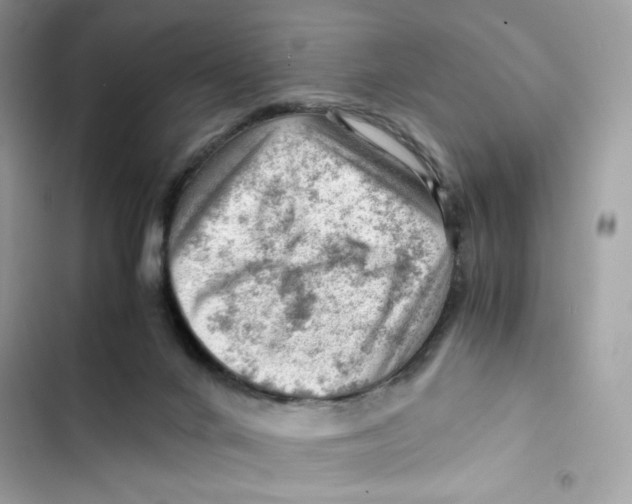 X0000101960024200808151325