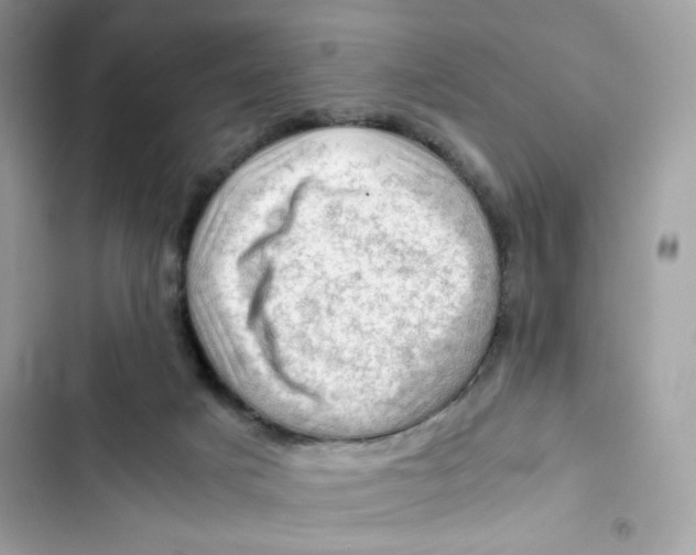 X0000101960025200808151325