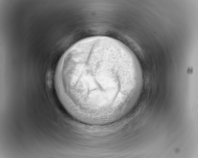 X0000101960026200808151325