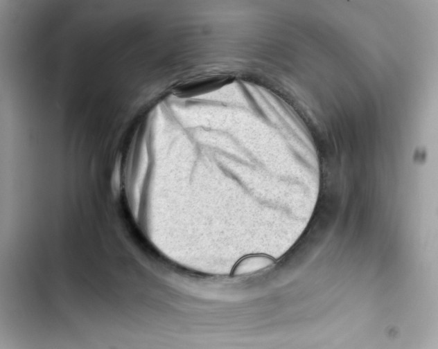 X0000101960028200808151325