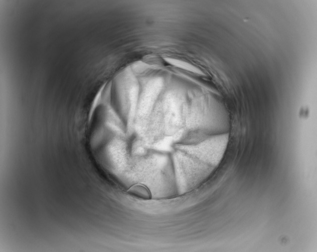 X0000101960030200808151325