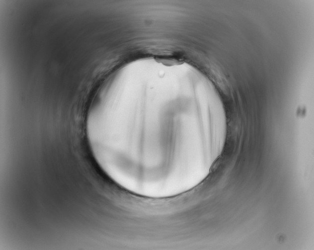 X0000101960031200808151325