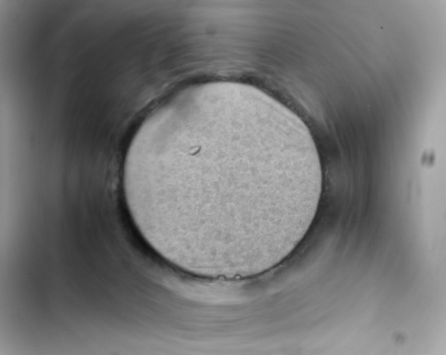 X0000101960032200808151325