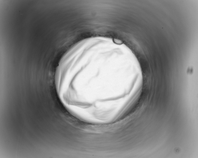 X0000101960033200808151325