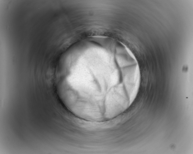 X0000101960034200808151325