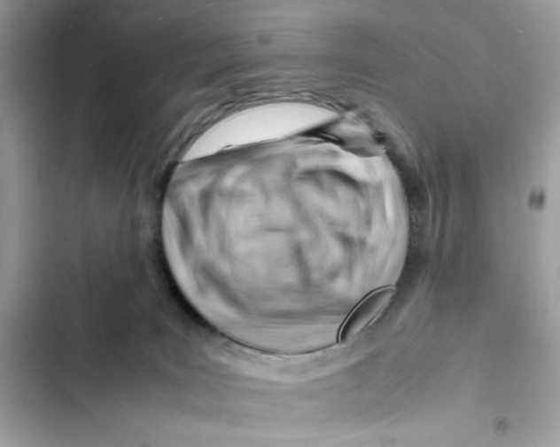 X0000101960035200808151325